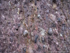Detail of the natural pattern and texture of the Devonian Trabeg Conglomerate Formation of the Dingle Group, Ireland