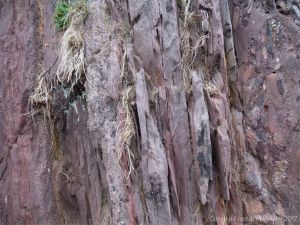 Detail of the natural pattern and texture of the Devonian Trabeg Conglomerate Formation of the Dingle Group, Ireland