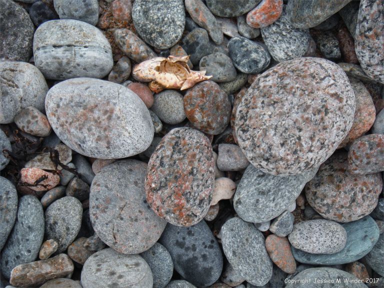 Beach stones at Corney Brook on the Cabot Trail on Cape Breton Island