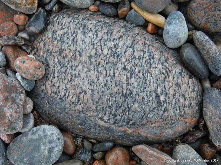 Beach boulder at Corney Brook on the Cabot Trail on Cape Breton Island