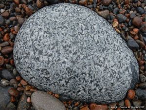 Beach boulder at Corney Brook on the Cabot Trail on Cape Breton Island