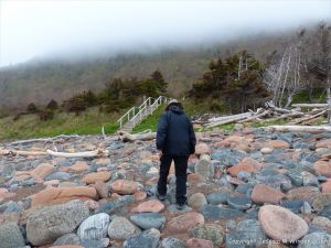 View of Corney Brook beach on the Cabot Trail
