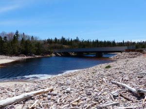 Looking upstream at the dark water flowing in Black Brook