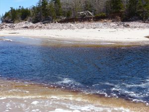 The dark water in Black Brook River