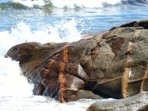 Aplite and pegmatite dykes in granite
