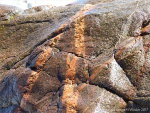 Aplite and pegmatite dykes in granite