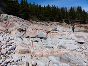 Aplite and pegmatite dykes in granite