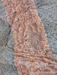 Pegmatite vein or dyke in biotite granite at Black Brook Cove