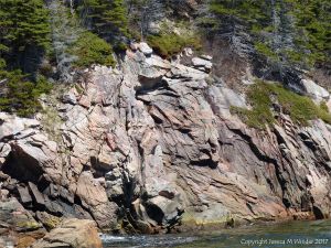 Granite cliff face at Black Brook Cove