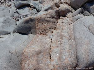 Pegmatite vein or dyke in biotite granite at Black Brook Cove