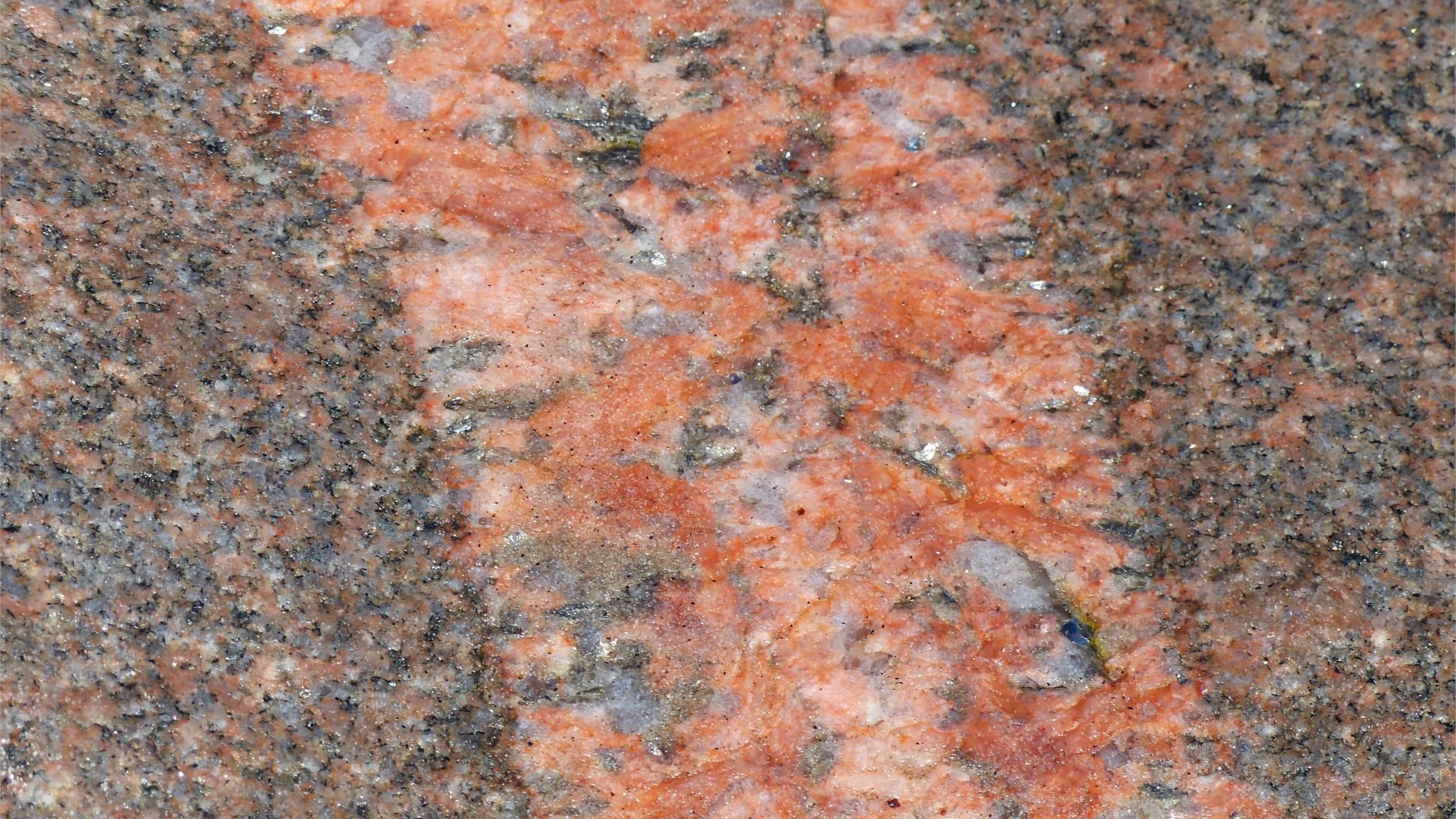 Pegmatite vein or dyke in biotite granite at Black Brook Cove