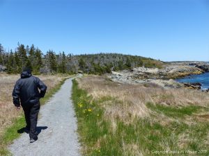 The start of the trail from Louisbourg Lighthouse to Morning Star Cove on Cape Breton Island