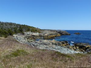 Coastal view looking north near Morning Star Cove