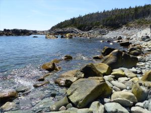 View looking south at Morning Star Cove