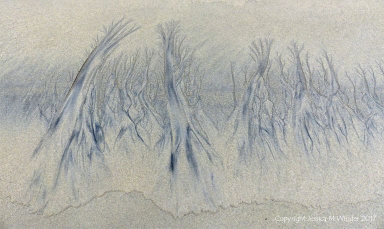Natural abstract art showing dendritic drainage patterns in sand on the beach 