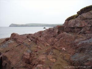 Shoreline outcrop of the Devonian Trabeg Conglomerate Formation on the Dingle Peninsula in Ireland