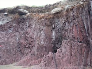 Detail of the natural pattern and texture of the Devonian Trabeg Conglomerate Formation of the Dingle Group, Ireland