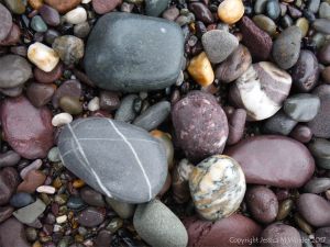 Beach pebbles from the Trabeg Conglomerate Formation at Trabeg on the Dingle Peninsula in Ireland