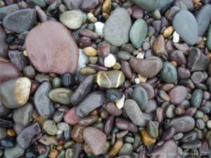 Beach pebbles from the Trabeg Conglomerate Formation at Trabeg on the Dingle Peninsula in Ireland