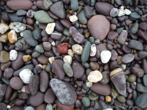 Beach pebbles from the Trabeg Conglomerate Formation at Trabeg on the Dingle Peninsula in Ireland