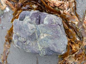 Boulder of volcanic rock at Fourchu Head