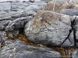 Detail of an outcrop of volcanic rock at Fourchu Head
