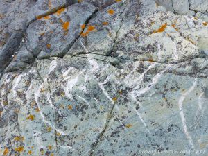 Detail of an outcrop of volcanic rock at Fourchu Head