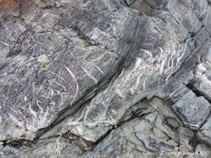 Detail of an outcrop of volcanic rock at Fourchu Head