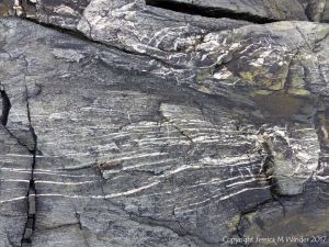 Detail of an outcrop of volcanic rock at Fourchu Head