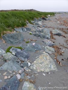 Boulders of volcanic rock at Fourchu Head