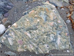 Boulder of volcanic rock at Fourchu Head