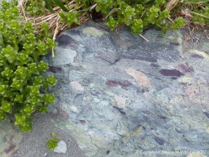 Boulder of volcanic rock at Fourchu Head