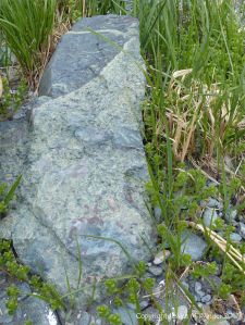 Boulder of volcanic rock at Fourchu Head