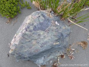 Boulder of volcanic rock at Fourchu Head
