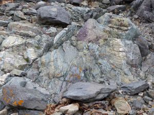 Detail of an outcrop of volcanic rock at Fourchu Head