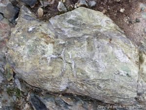 Detail of an outcrop of volcanic rock at Fourchu Head