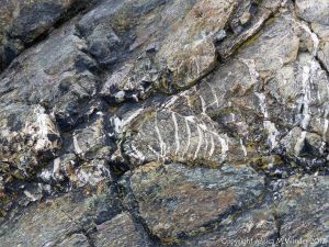 Detail of an outcrop of volcanic rock at Fourchu Head