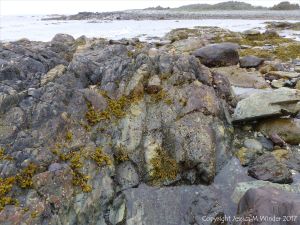 The rocky shore at Fourchu Head