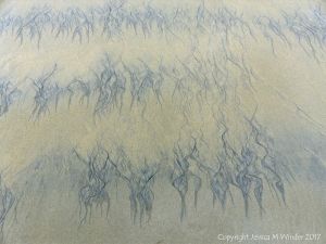 Natural abstract art showing dendritic drainage patterns in sand on the beach