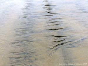 Natural abstract art showing dendritic drainage patterns in sand on the beach