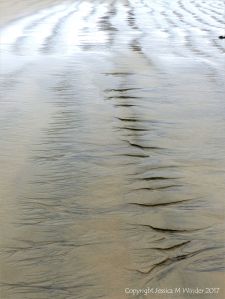 Natural abstract art showing dendritic drainage patterns in sand on the beach