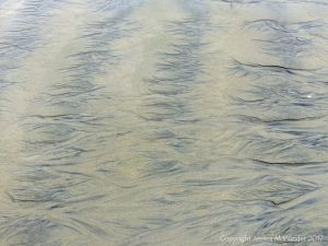 Natural abstract art showing dendritic drainage patterns in sand on the beach