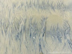 Natural abstract art showing dendritic drainage patterns in sand on the beach