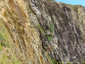 Rock face at Dunquin Harbour