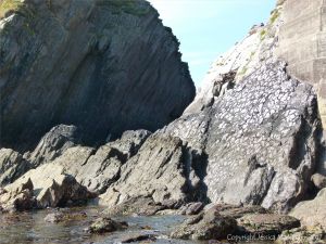Rock face with preserved mud cracks at Dunquin Harbour