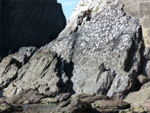 Rock face with preserved mud cracks at Dunquin Harbour