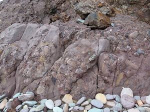 Detail of the natural pattern and texture of the Devonian Trabeg Conglomerate Formation of the Dingle Group, Ireland