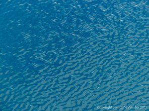 Natural patterns of reflected light on water ripples
