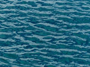 Natural patterns of reflected light on water ripples