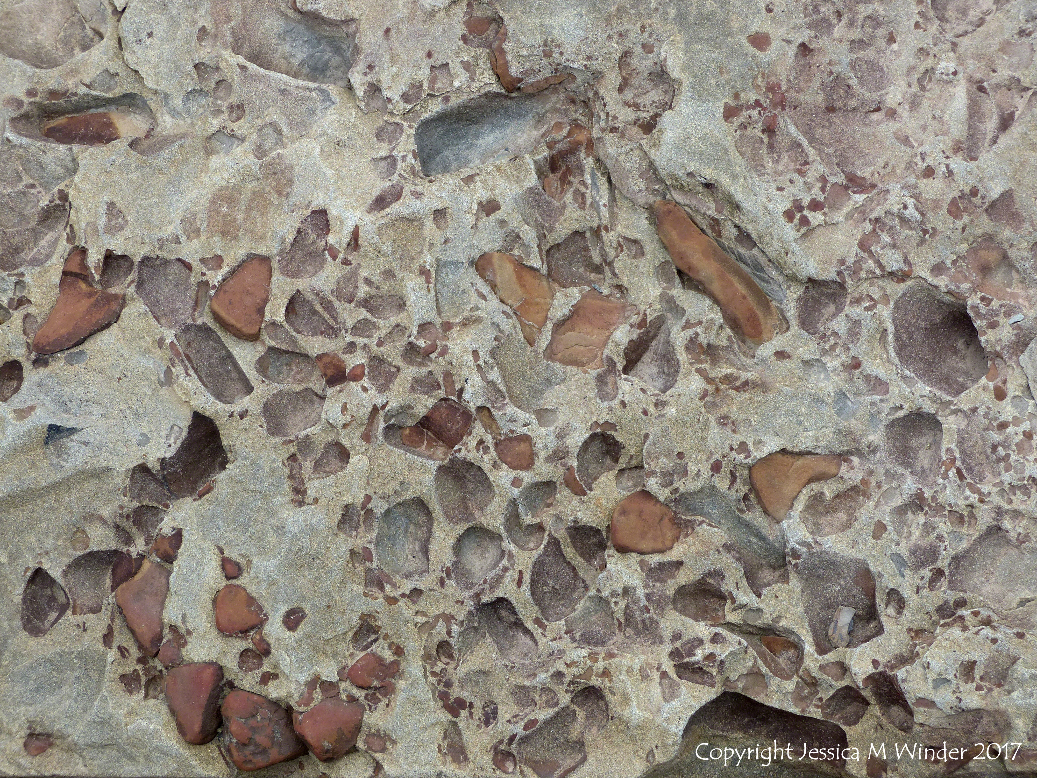 Joggins Rock Textures 7 – Jessica's Nature Blog